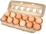 carton-of-eggs---graphic